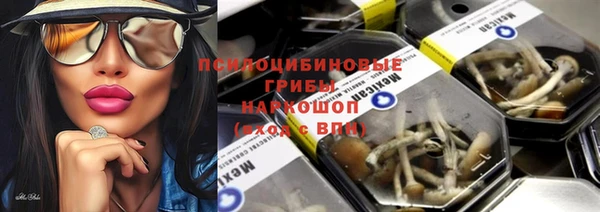 герыч Ступино