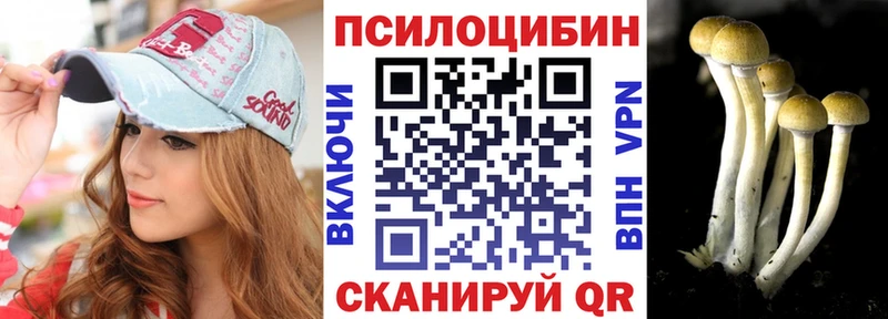 Псилоцибиновые грибы Psilocybe  Купить где  Воронеж 